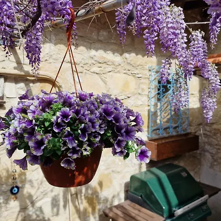 The Courtyard *