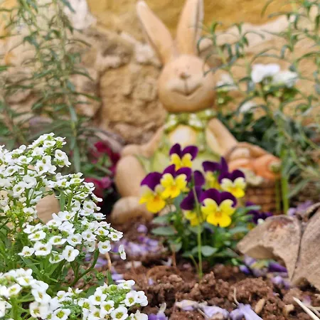 The Courtyard Διαμέρισμα *